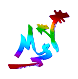 msv-logo